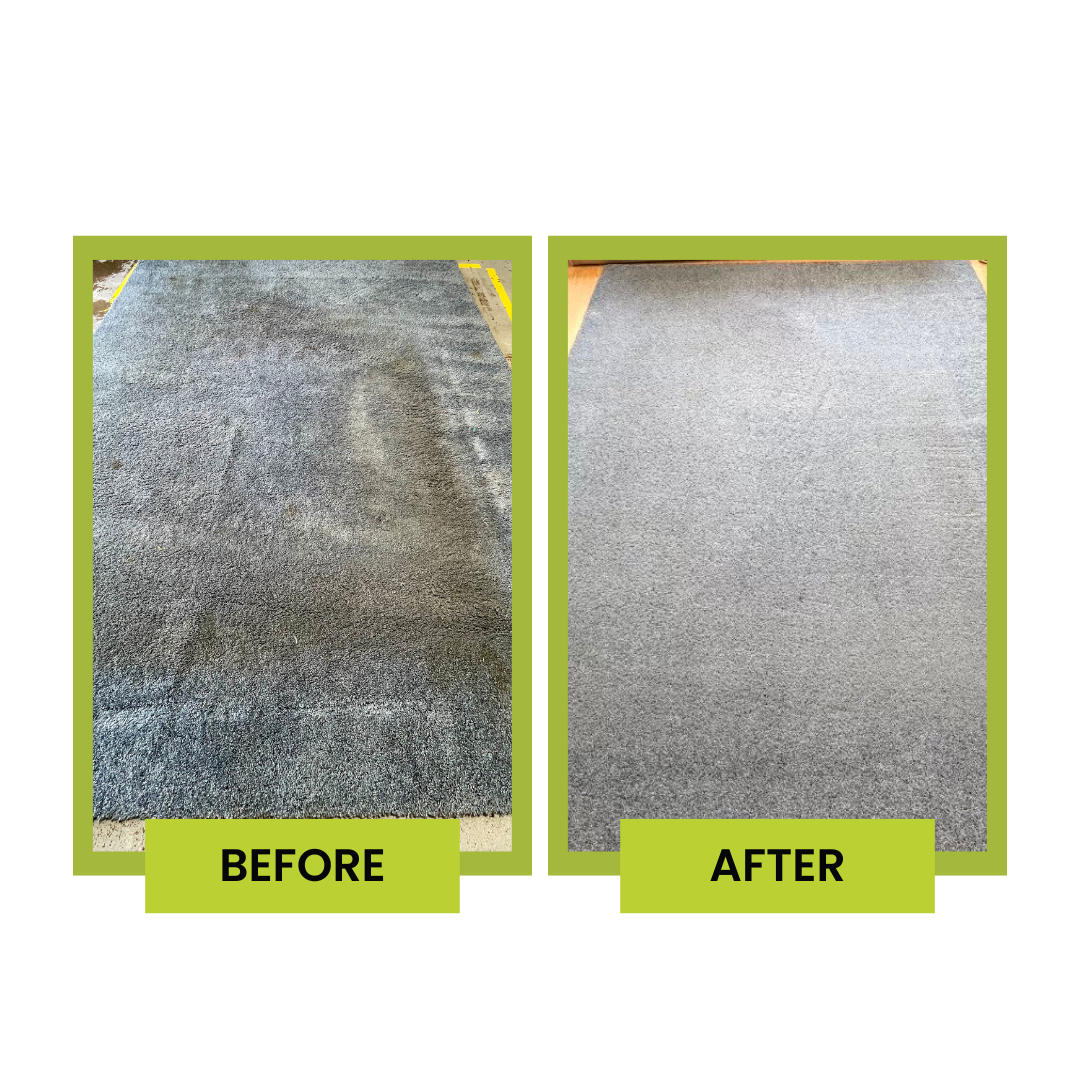 Rug Cleaning Before & After